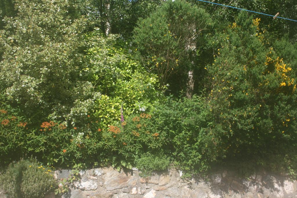 Saggart Laragh Mountain View Lodge الغرفة الصورة