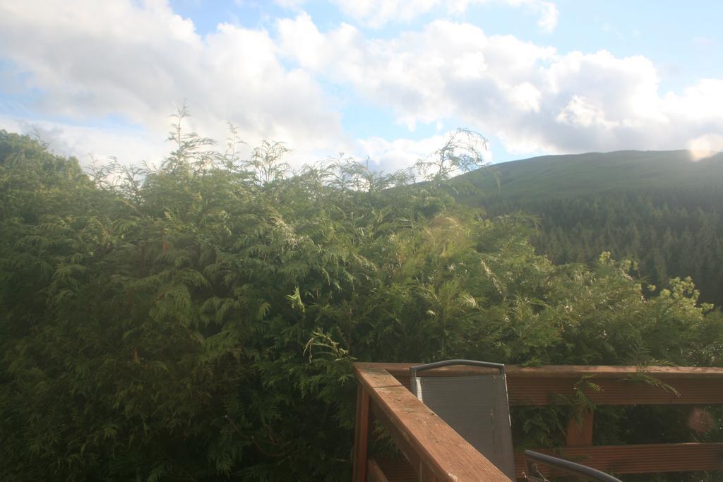Saggart Laragh Mountain View Lodge الغرفة الصورة